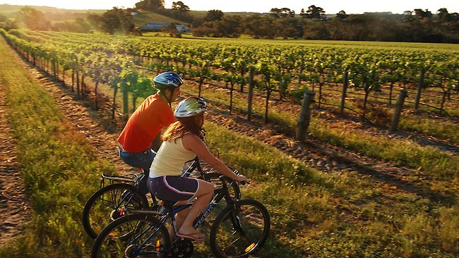 Barossa Valley campervan