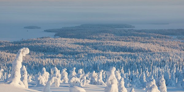 Riisitunturi National Park