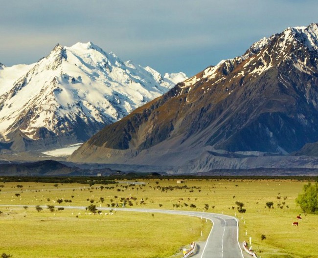 NZ Road View